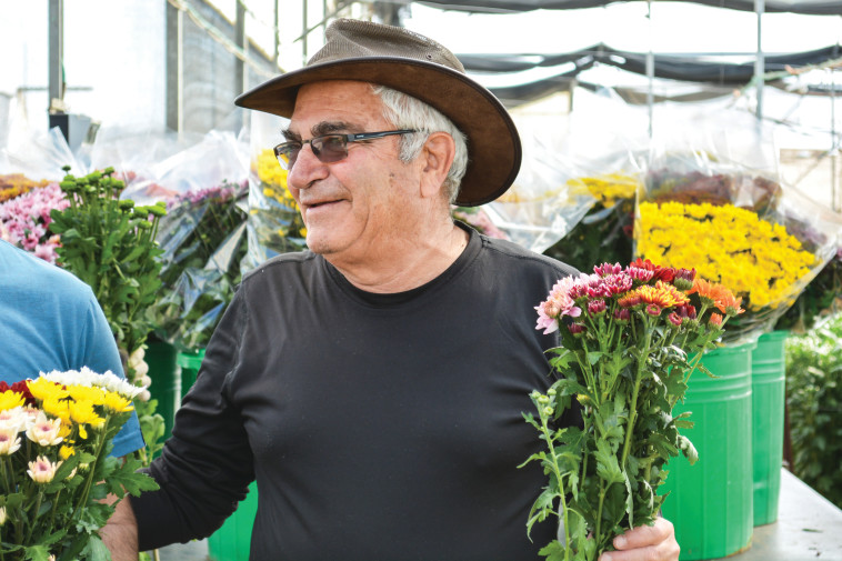 נחמיה בן צבי