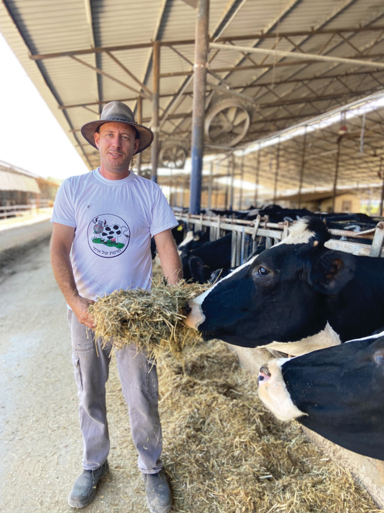 איתי גיל, רפתן