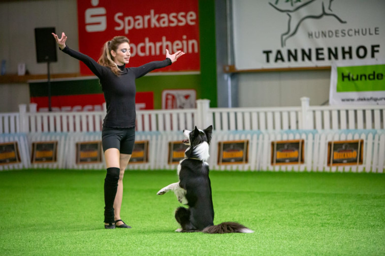 אליפות הריקוד לכלבים בגרמניה (צילום: Caroline Schunk)
