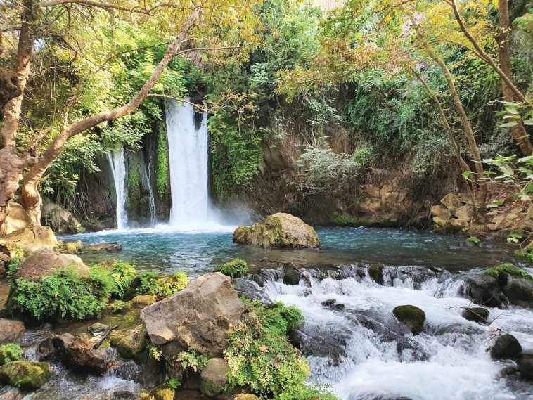 הבניאס (צילום: עופר שנער)