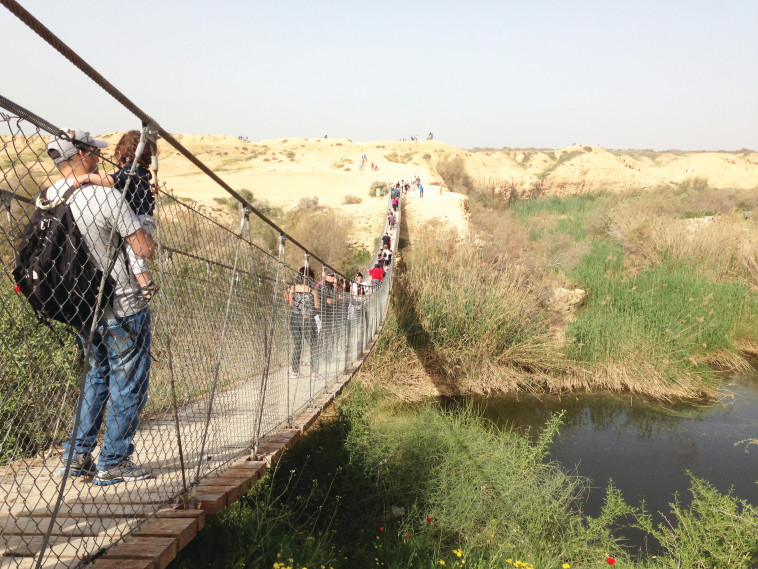 השביל התלוי (צילום: מיטל שרעבי)