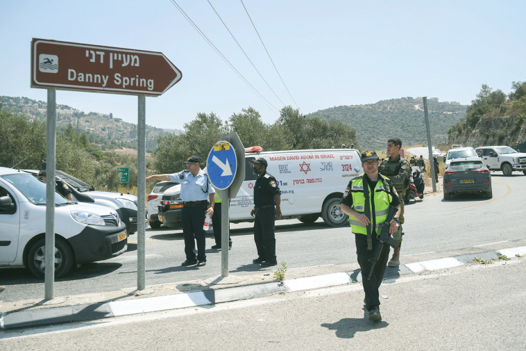 הפיגוע במעיין דני