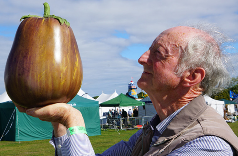 החציל הכבד ביותר בעולם