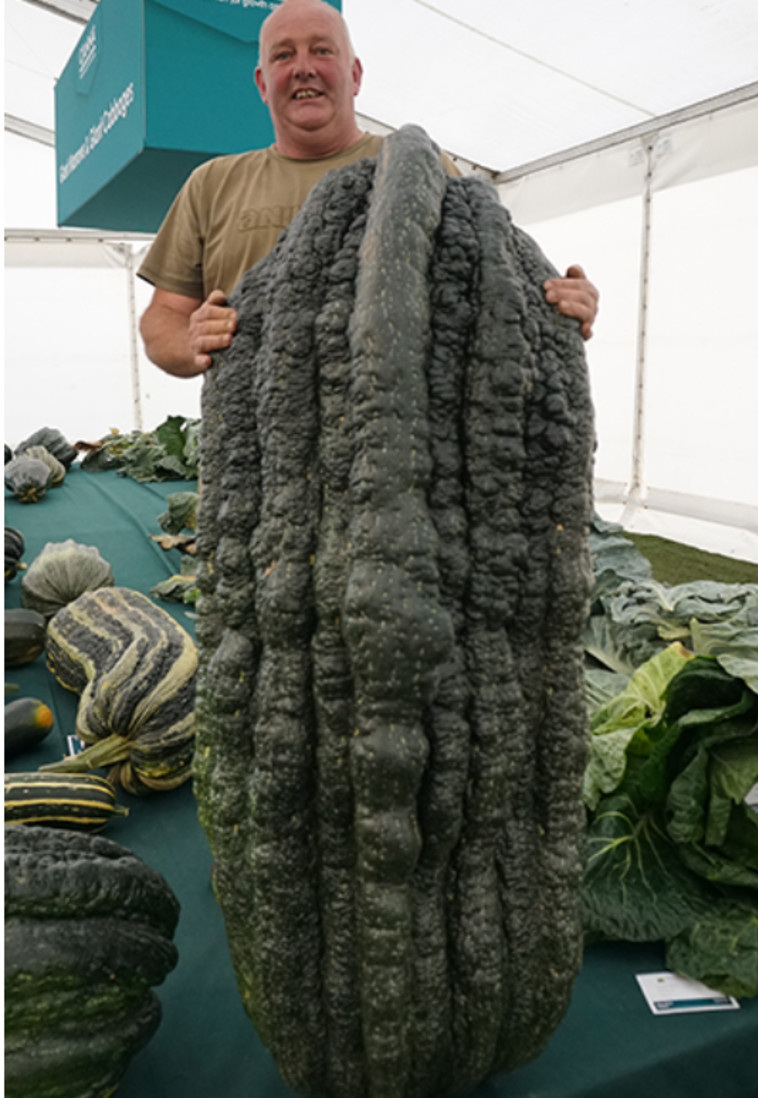 הקישוא הכבד ביותר