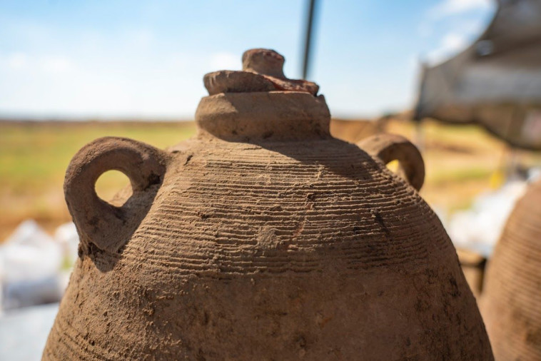 מפעל יין ביבנה