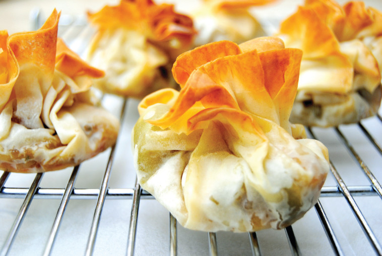 בצק פילו ממולא בחזה עוף וירקות