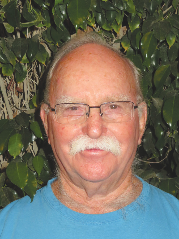 אמנון גרינברג