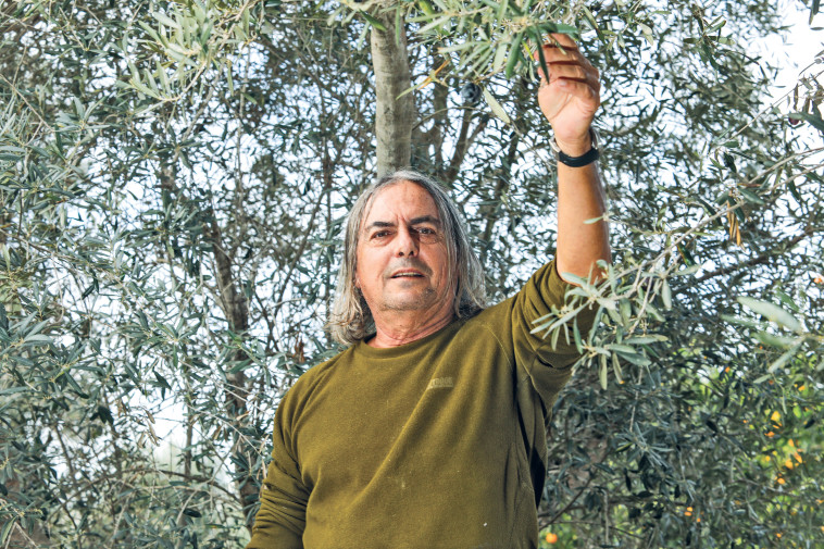 יעקב עבאדי גבע כרמל