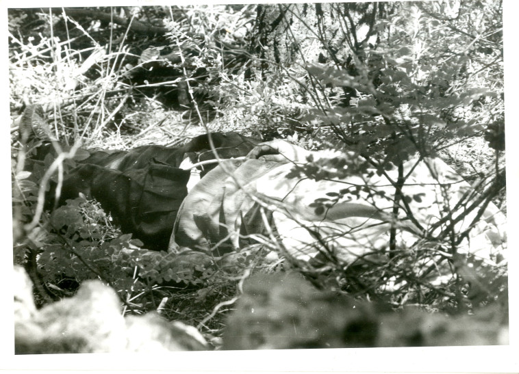 מציאת גופת אבי אדרי שנרצח ביער רמות (צילום: פלאש 90)