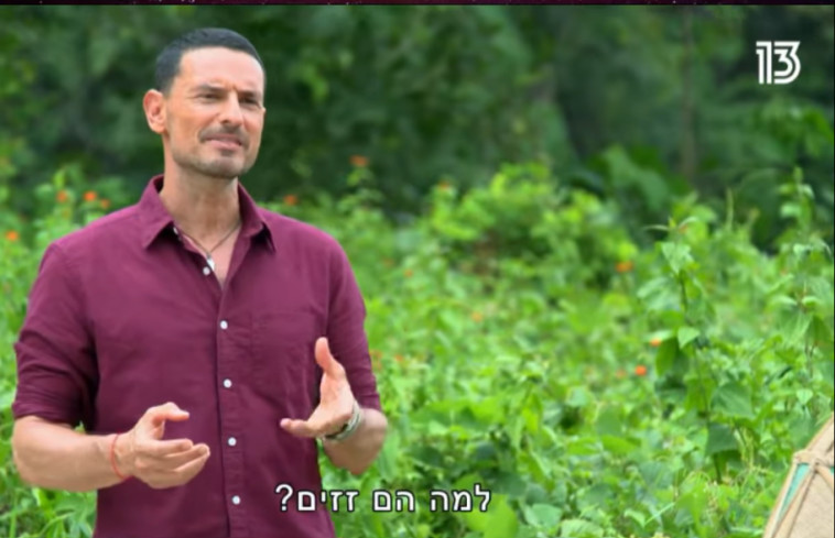 גיא זוארץ, מתוך ''הישרדות''