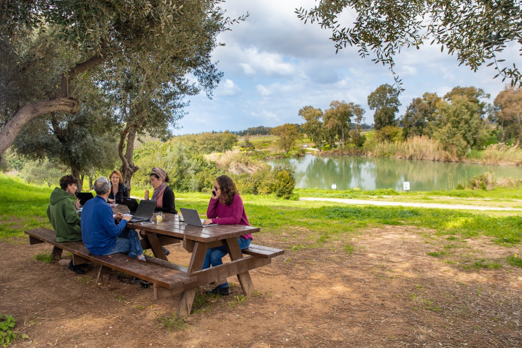 מתחם אופן ספייס (צילום: דור פזואלו)