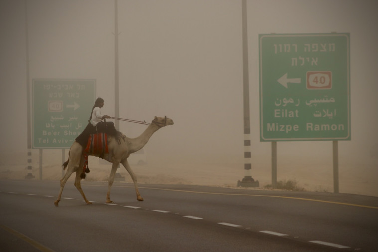 הנגב מגיע לבן גוריון