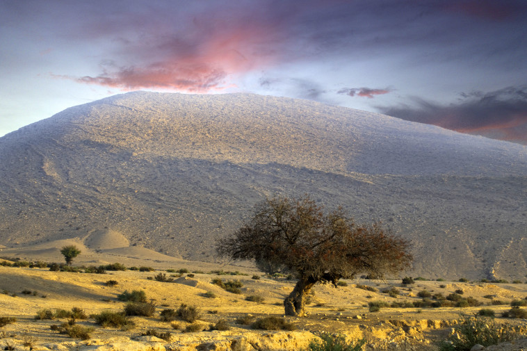 הנגב מגיע לבן גוריון
