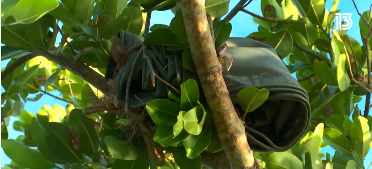 הקרב על הברזנט, הישרדות