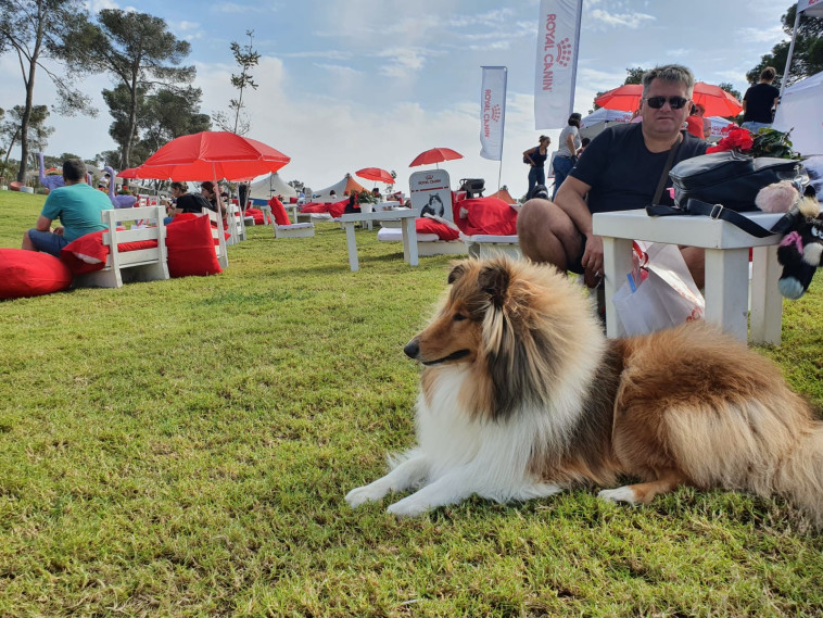 תערוכת הכלבים הבינלאומית של ההתאחדות לכלבנות 2021