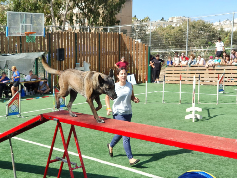 תערוכת הכלבים הבינלאומית של ההתאחדות לכלבנות 2021