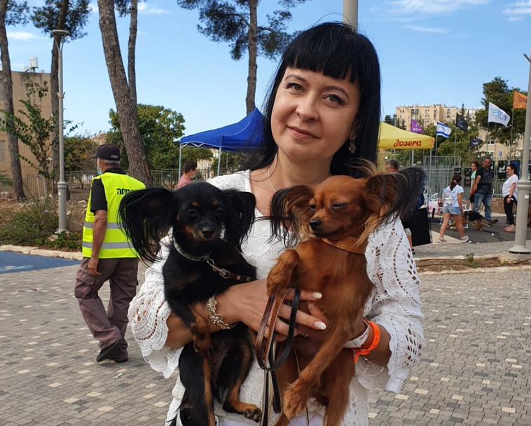 כלבי טוי רוסי עם בעליהן נעמי קלרמן 