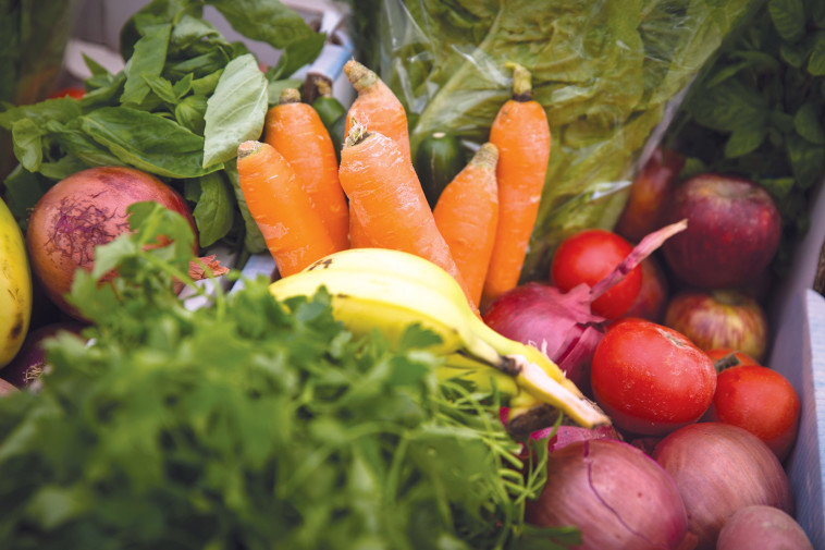 מנות המבוססות על ירקות, ומכילות רכיבים בריאים (צילום: הדס פארוש, פלאש 90)