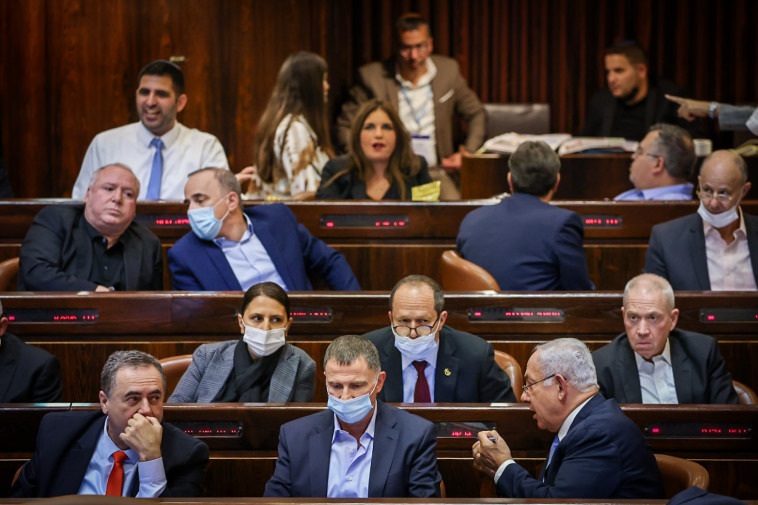 חברי מפלגת הליכוד במליאת הכנסת (צילום: נועם מוסקוביץ')