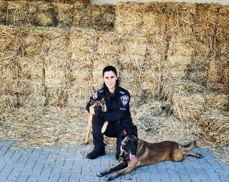 יחידת הכלבנים של המשטרה