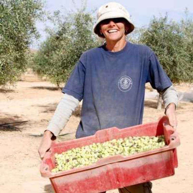 מתנדב של חברת סאנדו