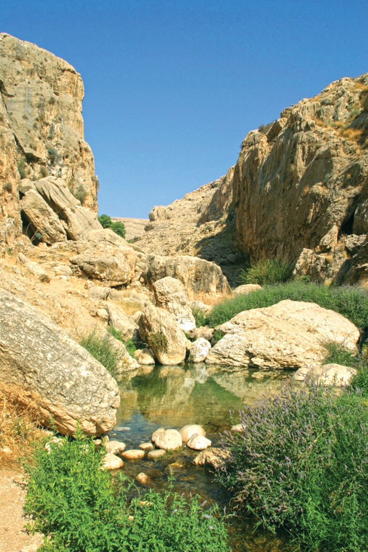 עין פרת  (צילום: דורון ניסים, רשות הטבע והגנים)