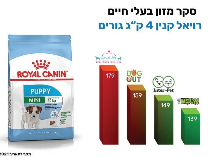 רויאל קנין 4 ק''ג גורים