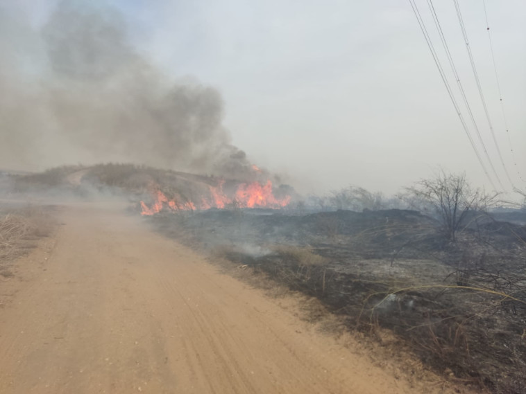 שריפה בשטח פתוח ליד מפעל גרנות (צילום: דוברות כבאות והצלה,דוברות כבאות והצלה לישראל מחוז צפון)