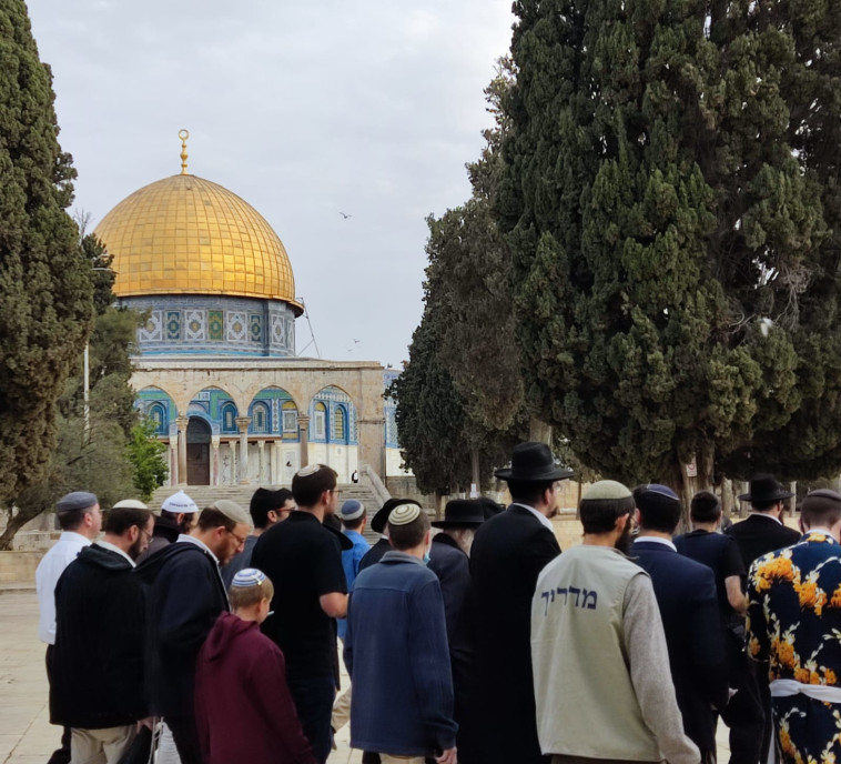 יהודים בהר הבית