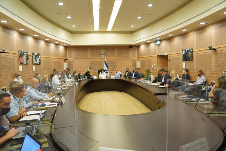 הוועדה לביטחון פנים (צילום: דני שם טוב, דוברות הכנסת)