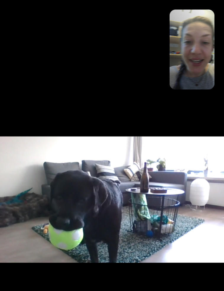 שיחה עם החבר על ארבע 