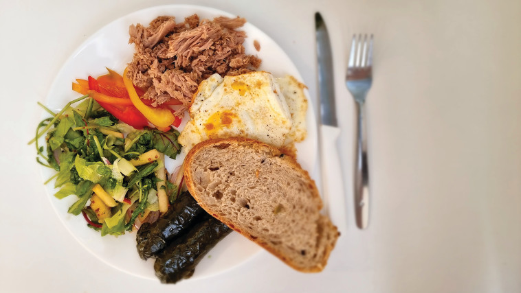 &ldquo;אלפא אירוח'', קיבוץ בית אלפא