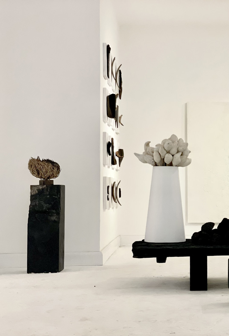 מתוך התערוכה ''שושנת יריחו'' של שרון ברונשר