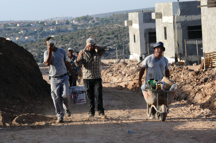 פועלים פלסטינים ביקיר  (צילום: גילי יערי, פלאש 90)