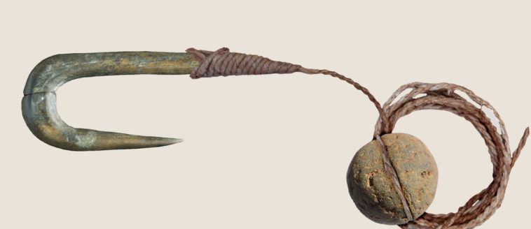 שחזור הממצאים