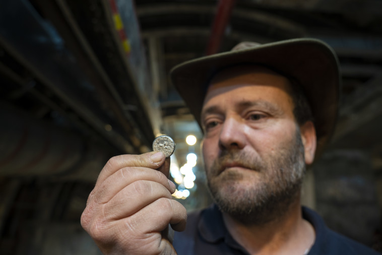 מנהל החפירה ארי לוי