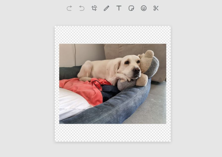 איך יוצרים סטיקרים במחשב