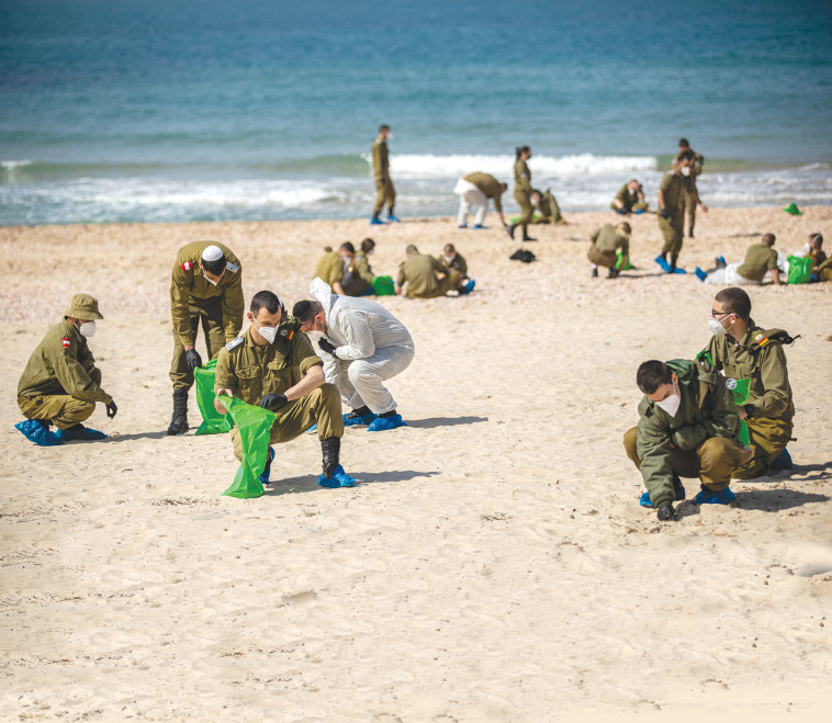 ניקיון חוף פלמחים