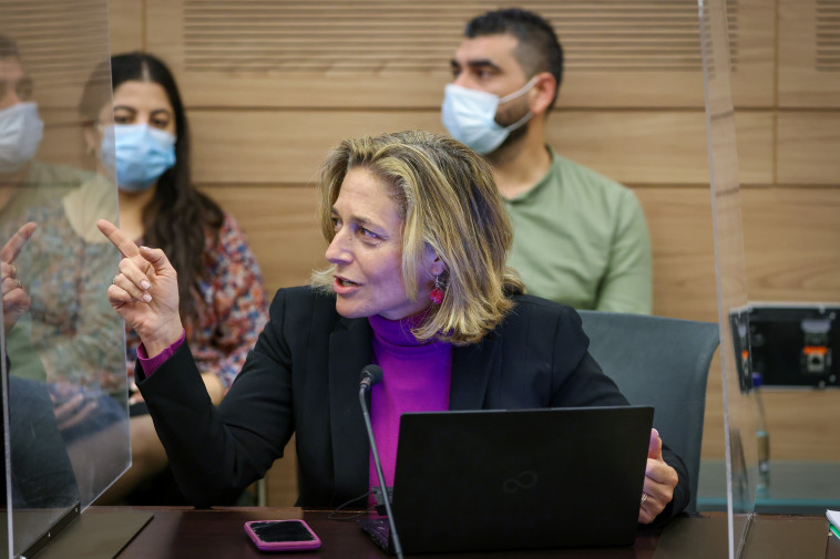 ד''ר שרון אלרעי פרייס בוועדת החוקה