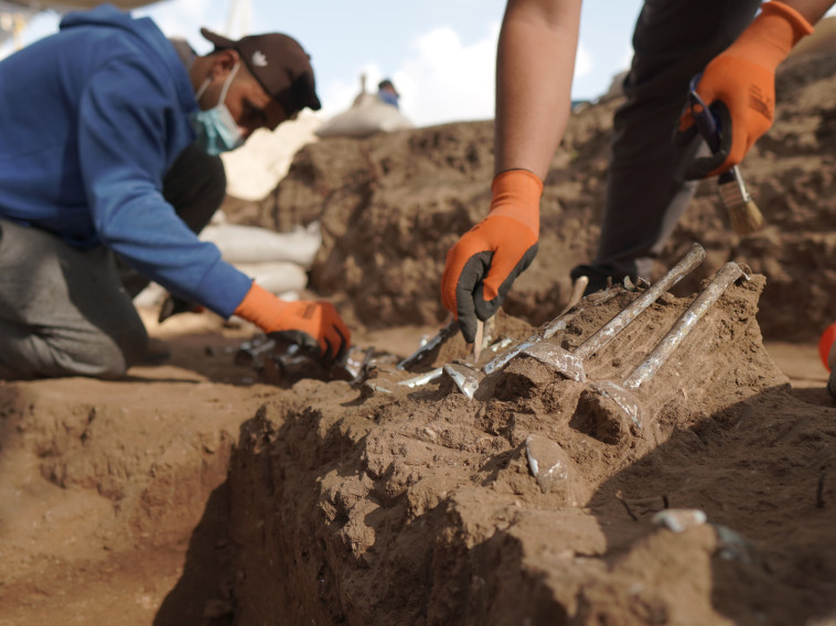 הבקבוקונים כפי שנחשפו בשטח