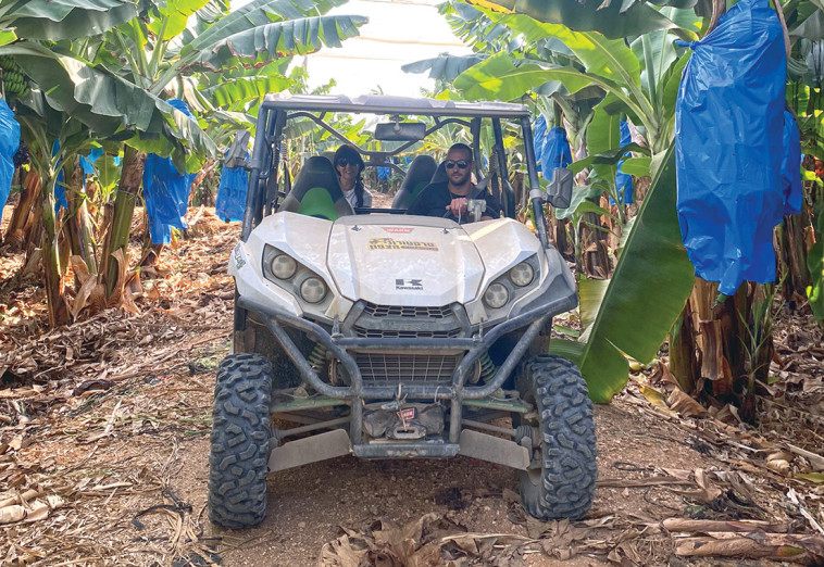 טרקטורוני הצפון