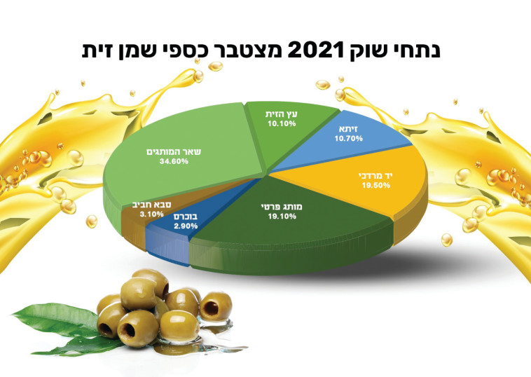 סקר שמן זית