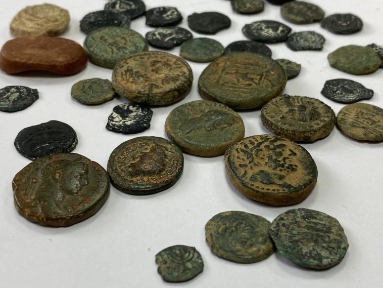 עשרות מטבעות עתיקים שנתפסו בבית במזרח י-ם (צילום: דוברות המשטרה)