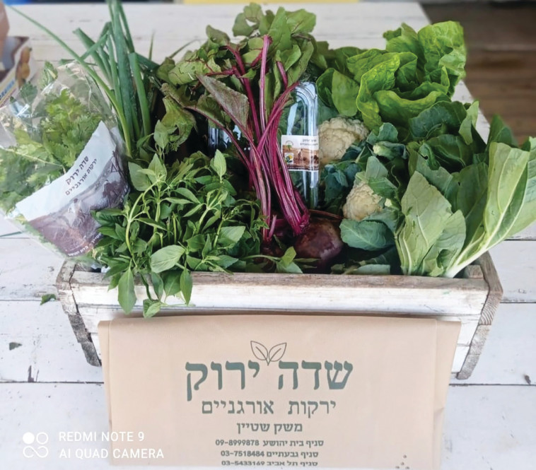 ארגז ירקות שדה ירוק ירקות אורגניים