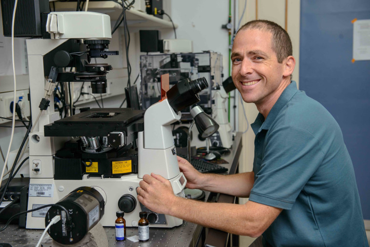 התגלית המפתיעה לטיפול במחלת הסוכרת