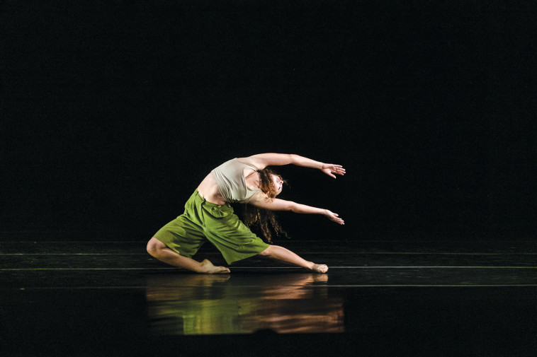 סדנת ורטיגו