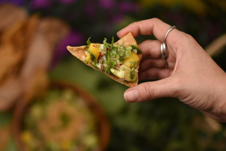 סביצ'ה בכרם