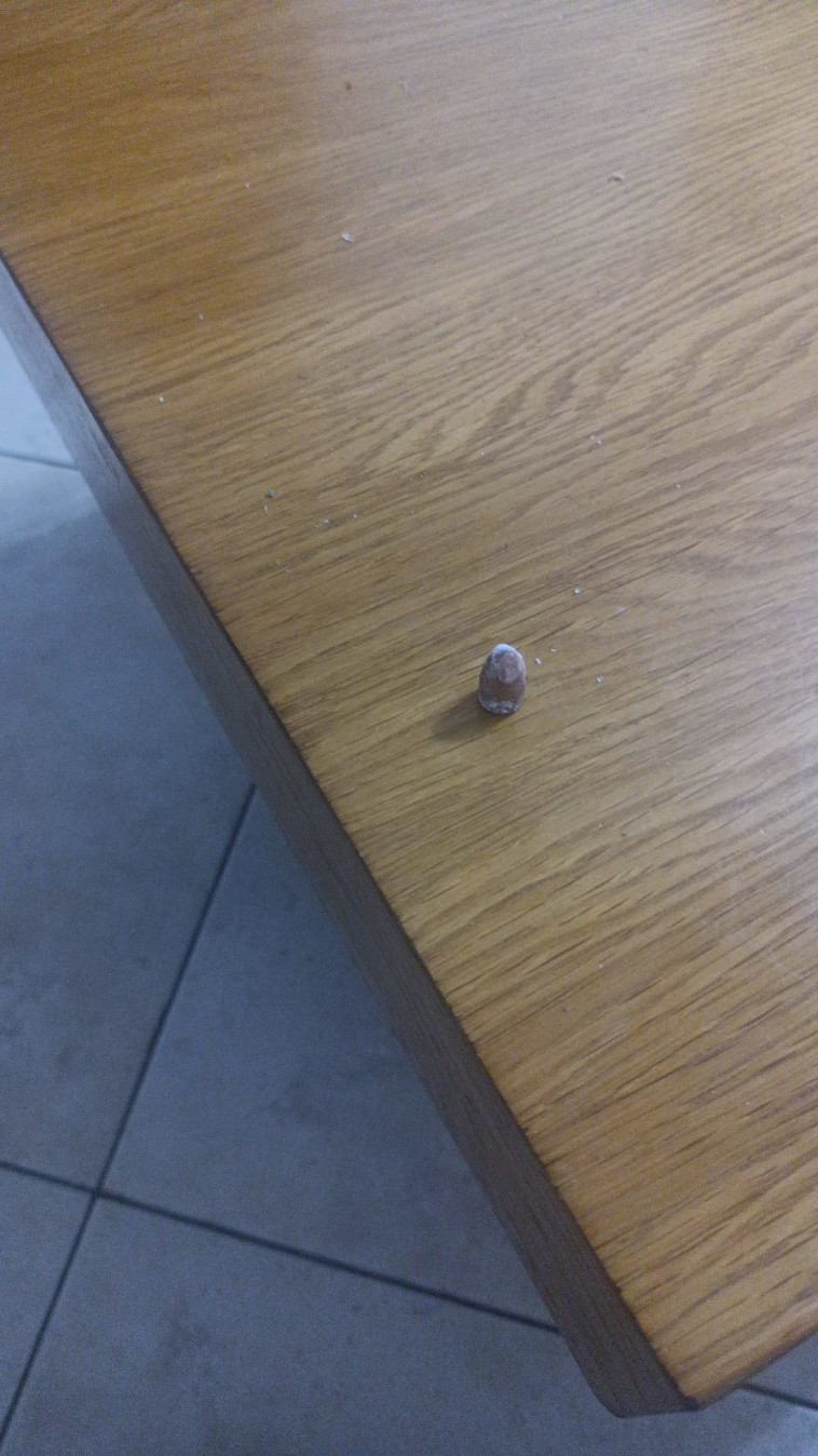 הקליע שנורה לעבר בית ברמלה