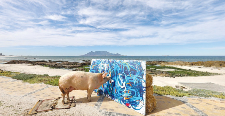 פיגאסו בפעולה