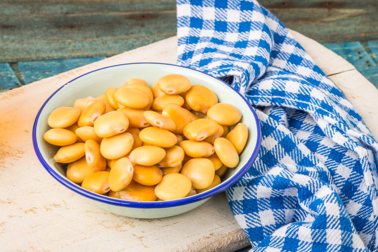 תורמוס (אילוסטרציה)